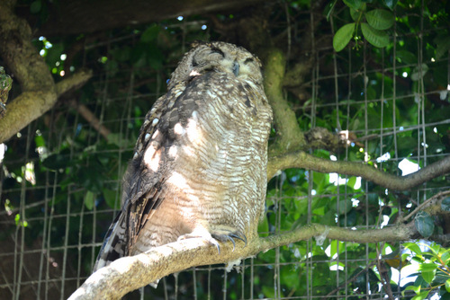 World of Birds Wildlife Sanctuary.